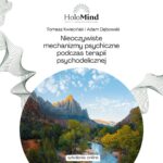 Nieoczywiste mechanizmy psychiczne podczas terapii psychodelicznej