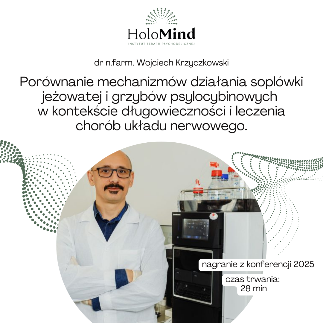 Porównanie mechanizmów działania soplówki jeżowatej i grzybów psylocybinowych  w kontekście długowieczności i leczenia chorób układu nerwowego